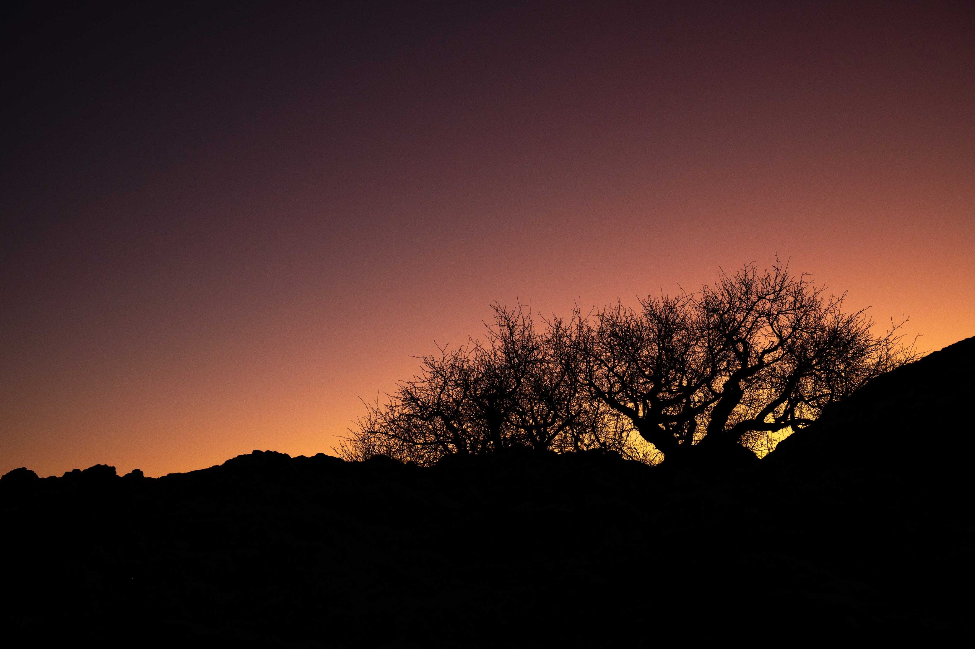 Es ist ein Landschaftsbild bei Sonnenuntergang. Die Sonne ist gerade hinter dem Horizont verschwunden und scheint ein Halo vo gelb über orange, rosa bis zu schwarz. Im Vordergrund ist im Gegenlicht ein dürrer Dornbusch direkt vor der untergehenden Sonne, so dass es aussieht, als sei er das Zentrum der Farbenspiels.